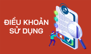 Điều Khoản Sử Dụng