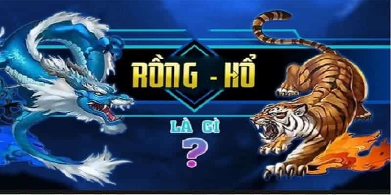 Rồng Hồ Fun88